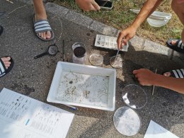 Einblicke in den Unterricht