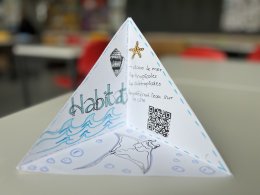 Einblicke in den Unterricht