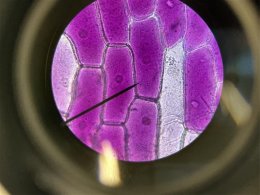 Einblicke in den Unterricht