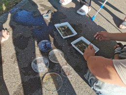 Einblicke in den Unterricht