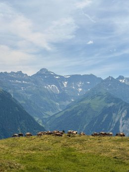 Anlässe
