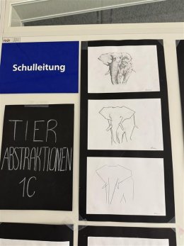 Einblicke in den Unterricht