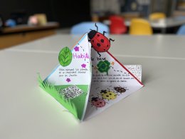 Einblicke in den Unterricht