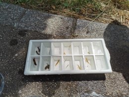 Einblicke in den Unterricht