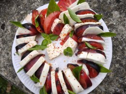 Einblicke in den Unterricht