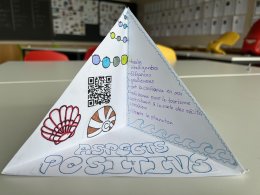 Einblicke in den Unterricht