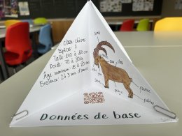 Einblicke in den Unterricht